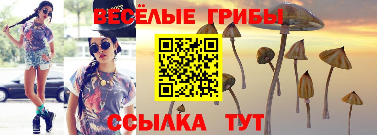 Псилоцибиновые грибы ЛСД  Вход с VPN  Псилоцибиновые грибы мухоморы  Углич 